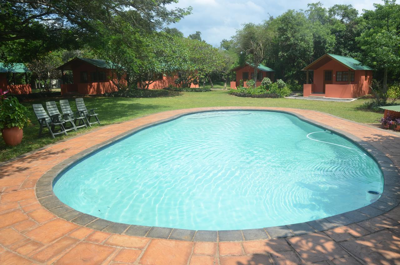 Bushbaby Lodge & Camping Hluhluwe Ngoại thất bức ảnh