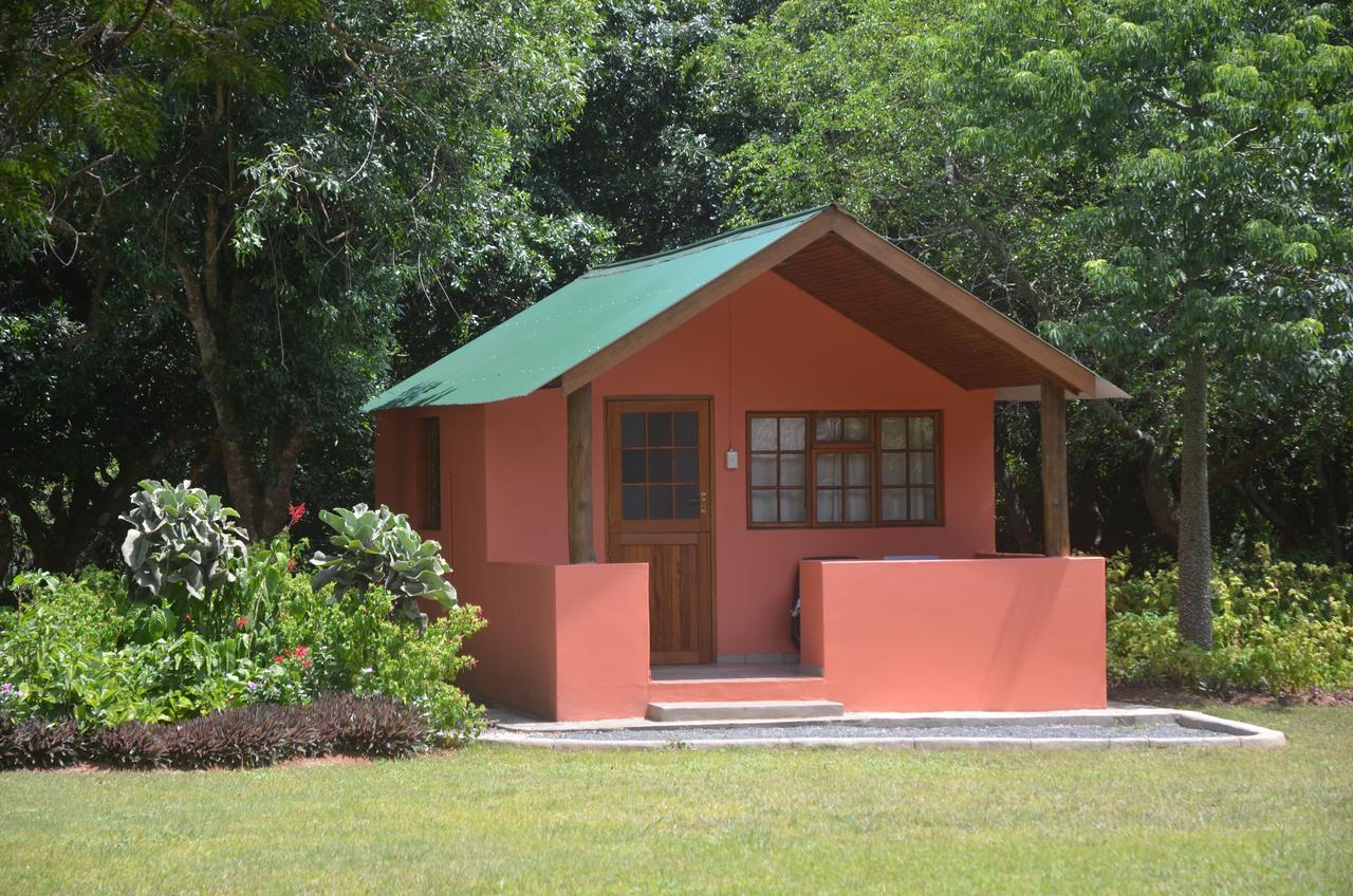 Bushbaby Lodge & Camping Hluhluwe Ngoại thất bức ảnh