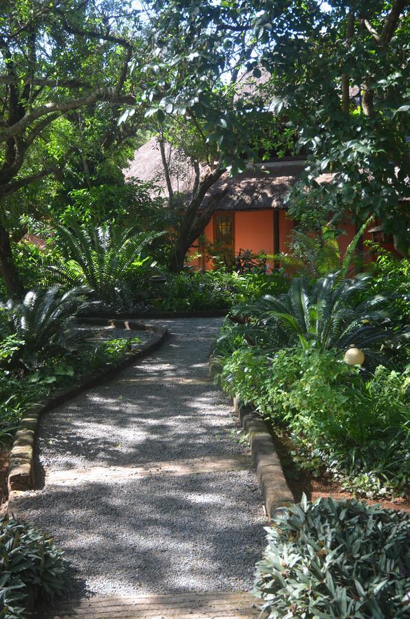 Bushbaby Lodge & Camping Hluhluwe Ngoại thất bức ảnh