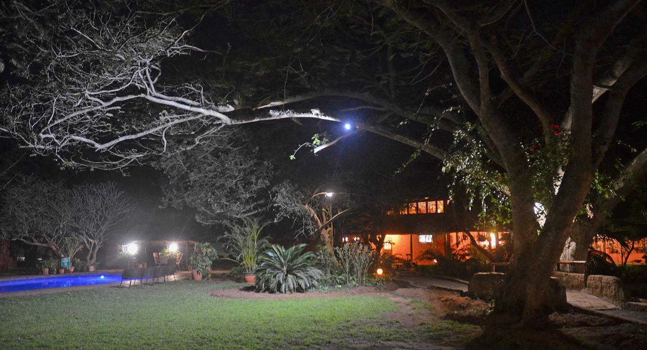 Bushbaby Lodge & Camping Hluhluwe Ngoại thất bức ảnh