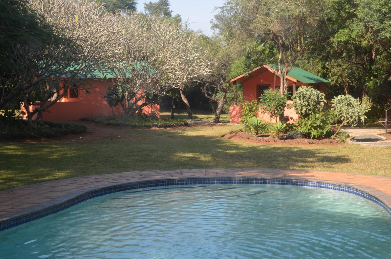 Bushbaby Lodge & Camping Hluhluwe Ngoại thất bức ảnh
